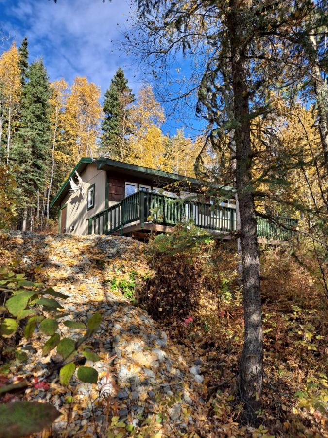 Northwoods Cottage Bed And Breakfast Fairbanks Exterior photo