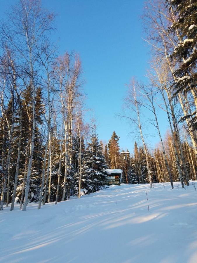 Northwoods Cottage Bed And Breakfast Fairbanks Exterior photo