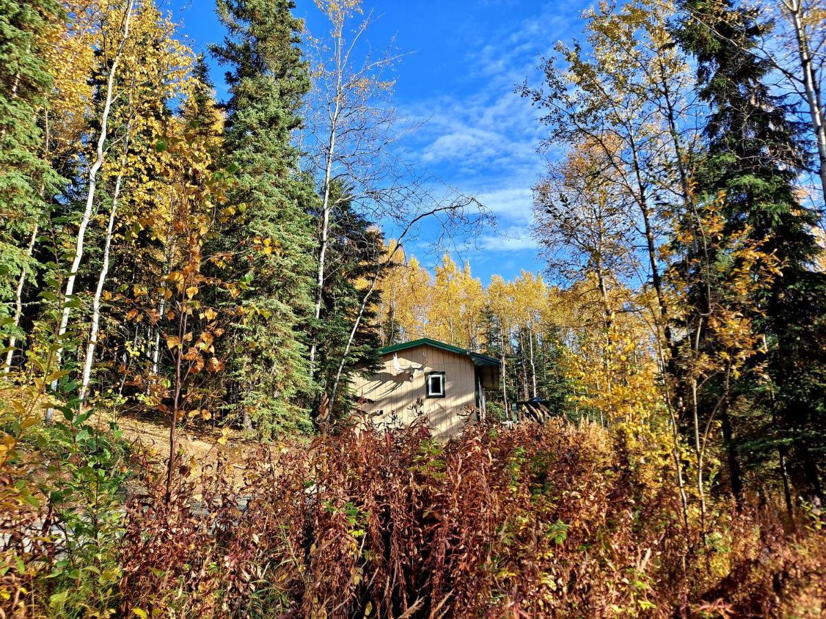 Northwoods Cottage Bed And Breakfast Fairbanks Exterior photo